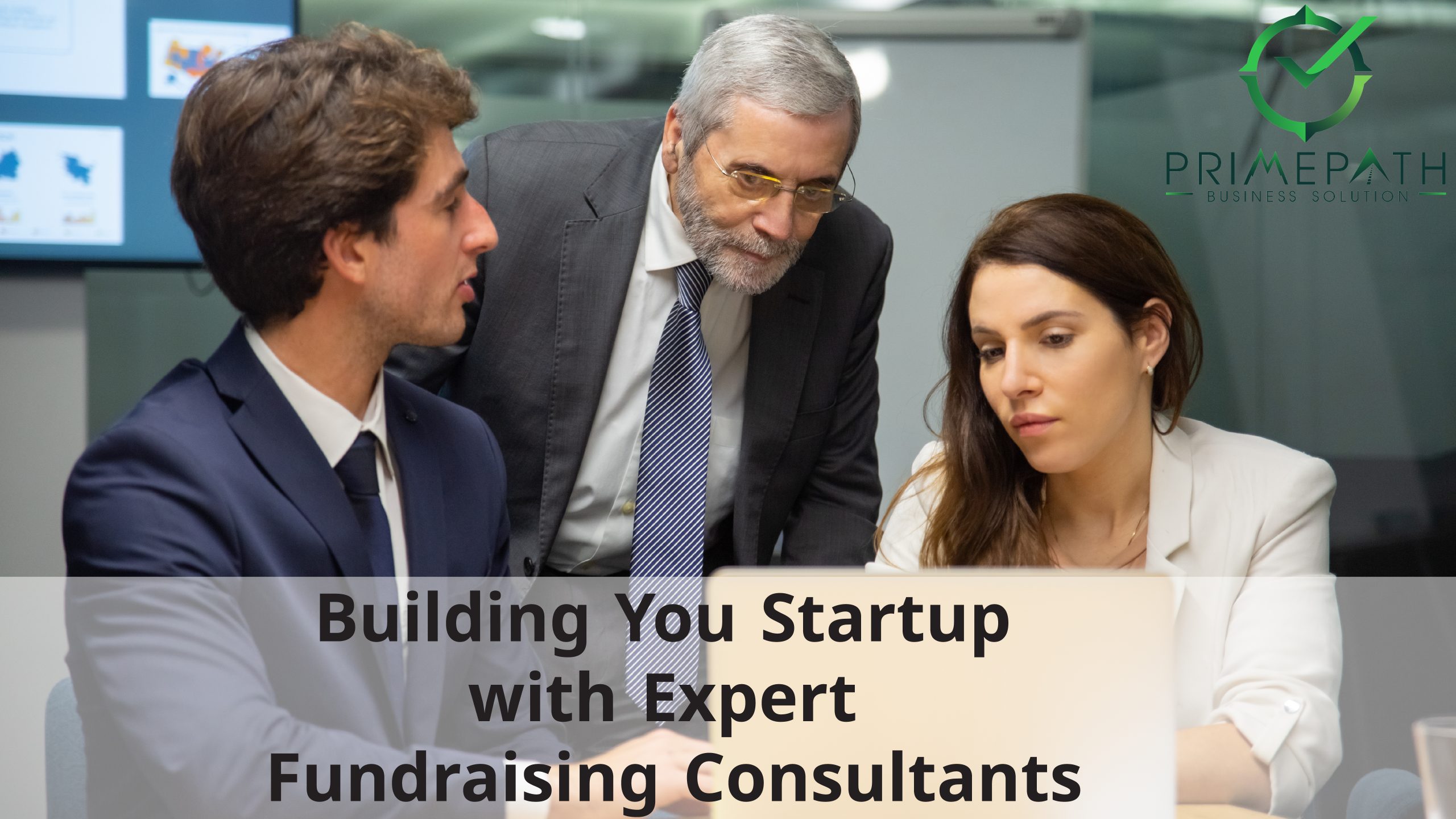 Fundraising Consultants